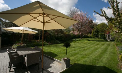 3D1A7700LR4 edit web